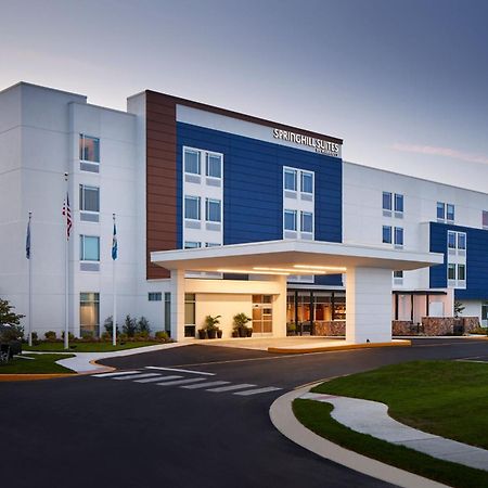 Springhill Suites By Marriott Frederica Экстерьер фото